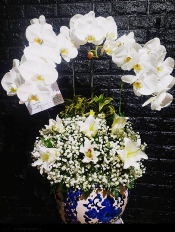 bunga anggrek untuk meja tamu