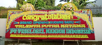 bunga papan gandeng 2 mahkota artificial