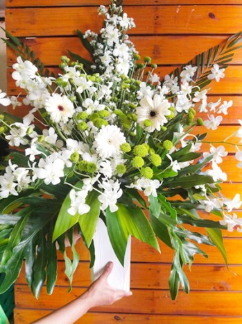 bunga meja anggrek murah